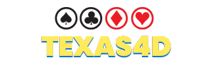 Logo TEXAS4D